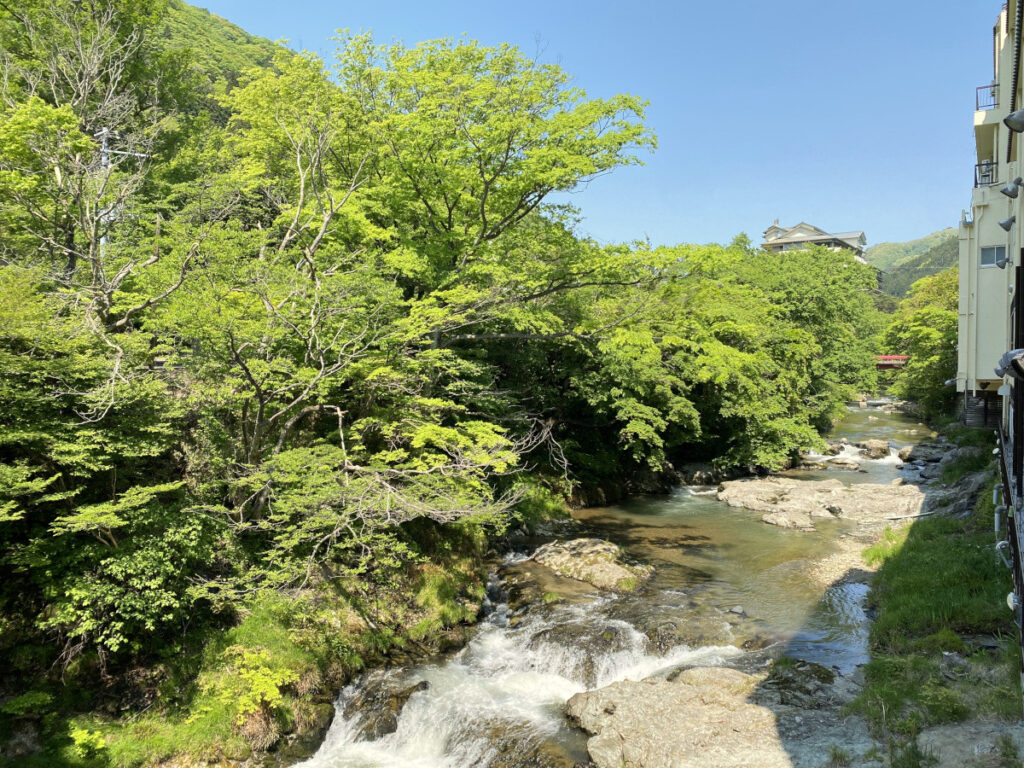 伊東園ホテル磐梯向滝　川